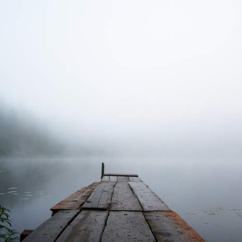 Photo #7020835
