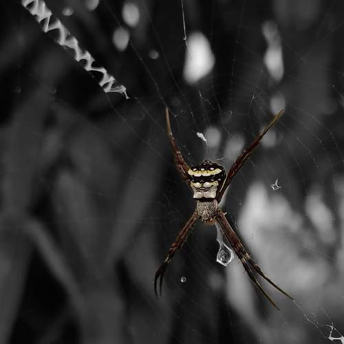 Photo #7021081
