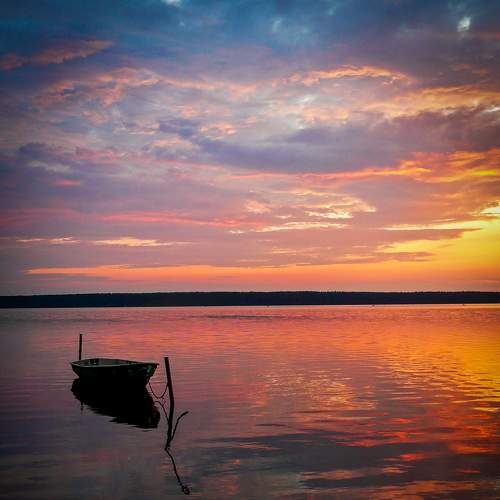 Photo #7021103