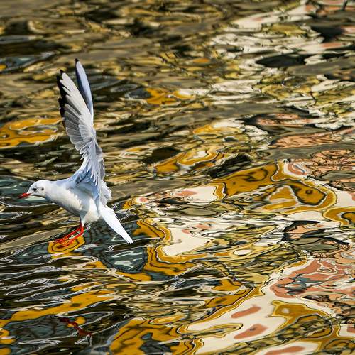 Фотография #7021133