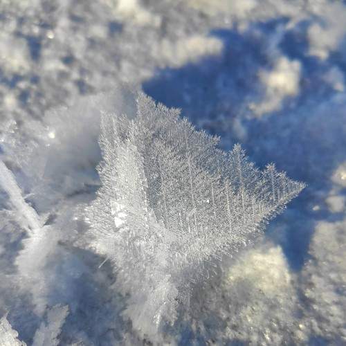 Photo #7021152