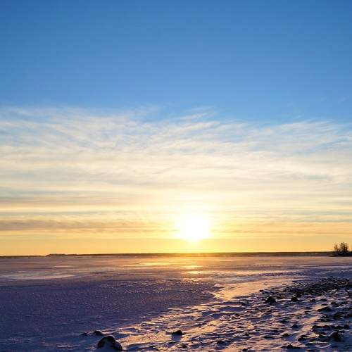Photo #7021192