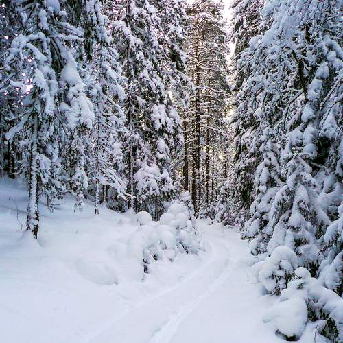 Photo #7021789