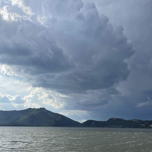 Photo #7022009