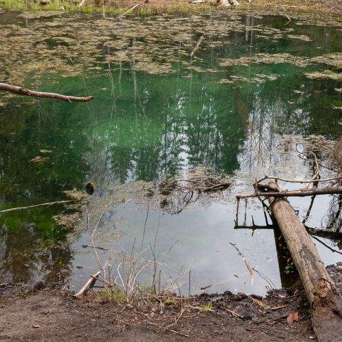 Photo #7022083