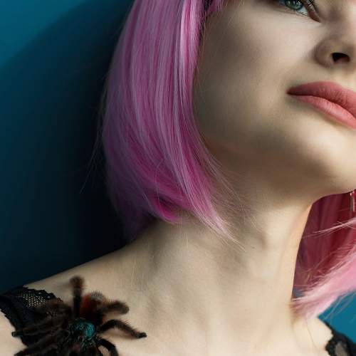 Photo #7022183