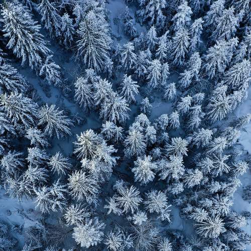 Photo #7022365