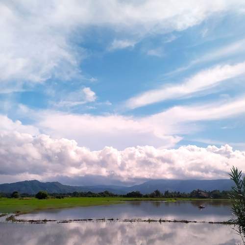 Photo #7022384