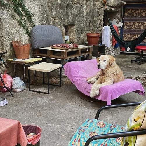 Photo #7022515