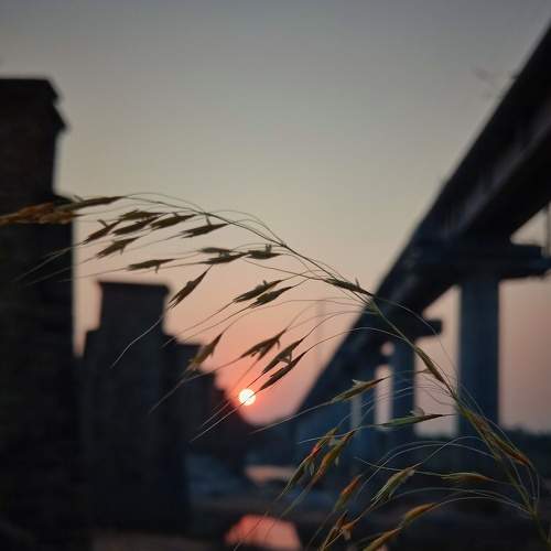 Photo #7022655