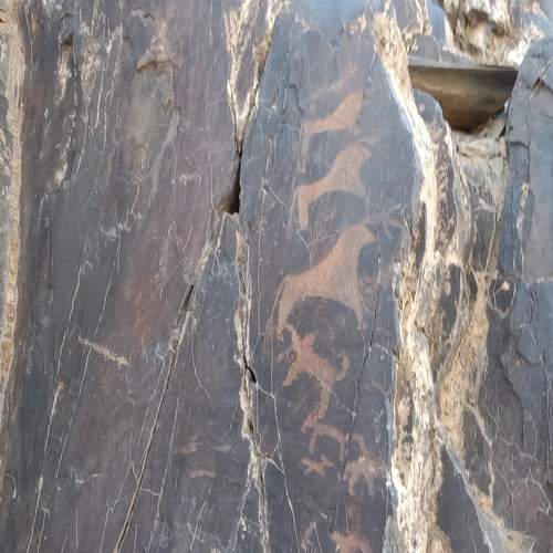 Photo #7022711