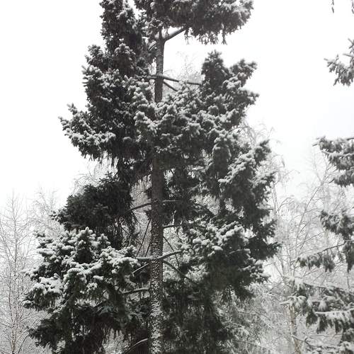 Photo #7022869