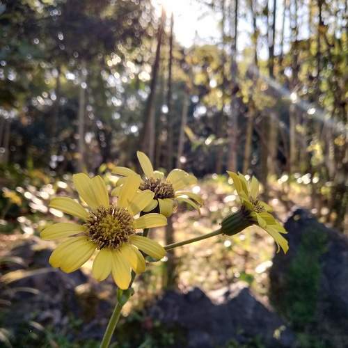 Photo #7022948