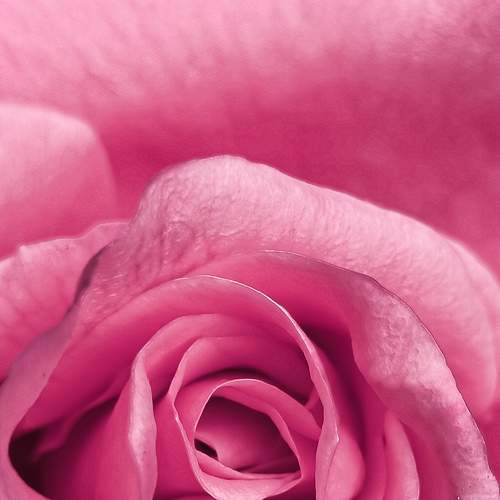 Photo #7023040