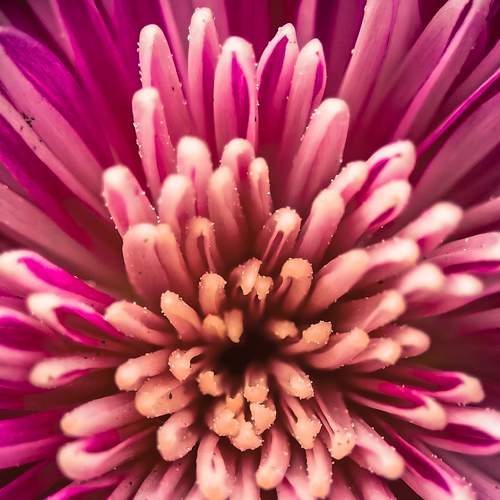 Photo #7023041