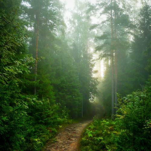 Photo #7023105