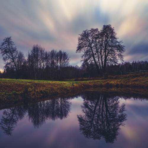 Photo #7023313