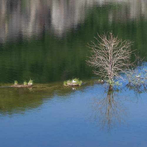 Photo #7023434