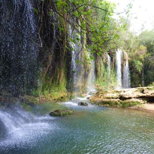 Photo #7023455