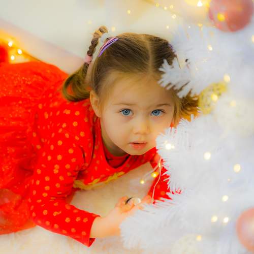 Photo #7023506