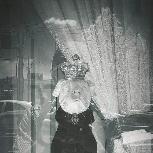 Photo #7023589