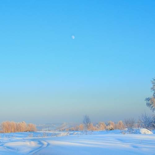 Photo #7023834