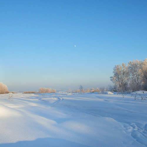 Photo #7023851