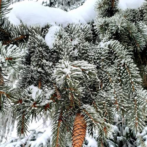 Photo #7023895