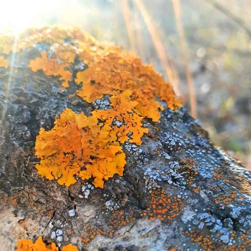 Photo #7023897