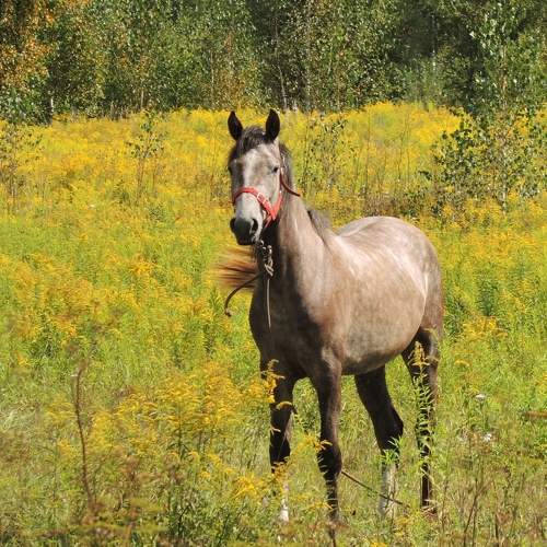 Photo #7023944