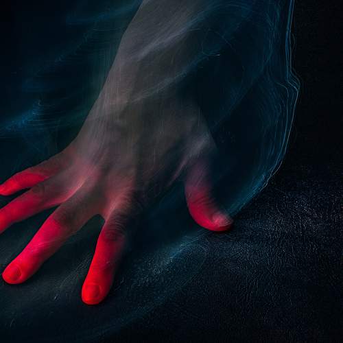 Photo #7024073