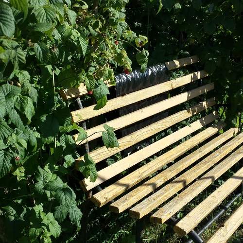 Photo #7024314