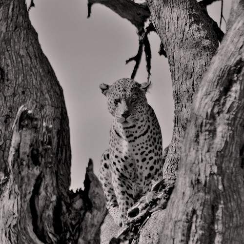 Photo #7024539