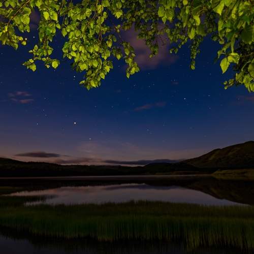 Photo #7024746