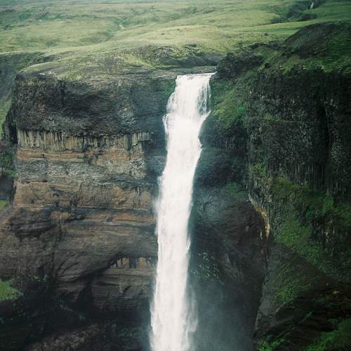Photo #7024809