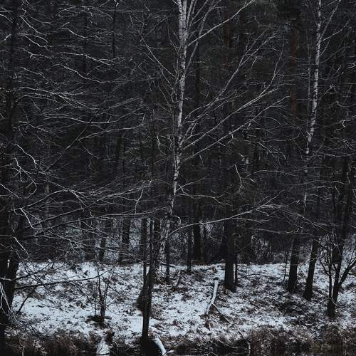 Photo #7024897