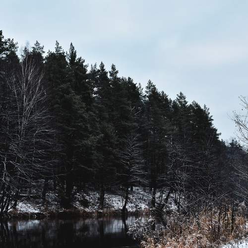 Photo #7024898