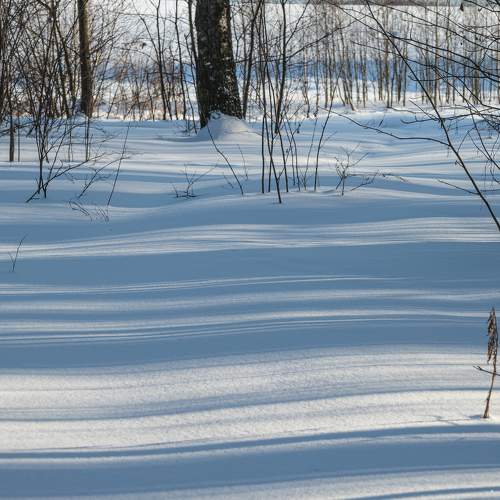 Photo #7024954