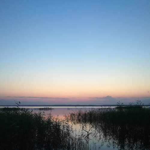 Photo #7024990