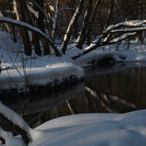 Photo #7025224