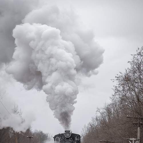 Photo #7025344