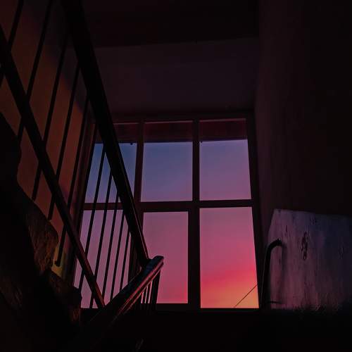 Photo #7025357