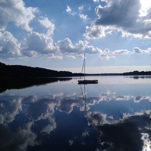 Photo #7025415
