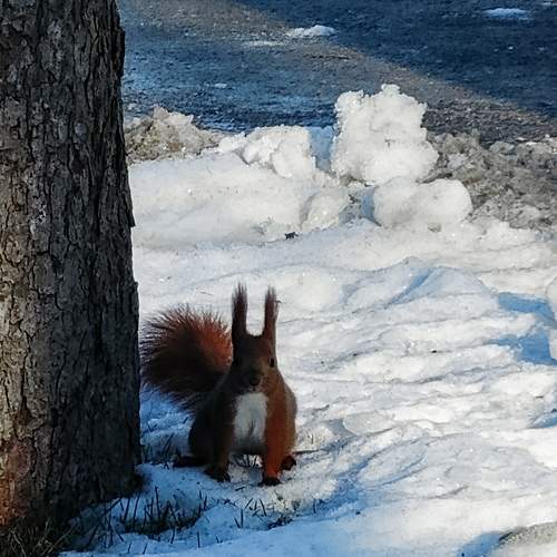 Photo #7025574