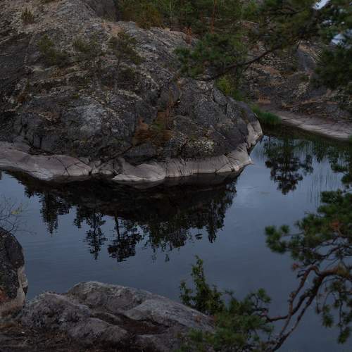 Photo #7025577