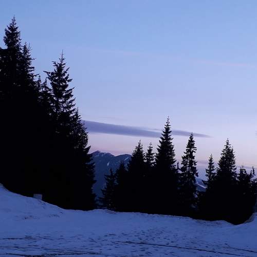 Photo #7025712