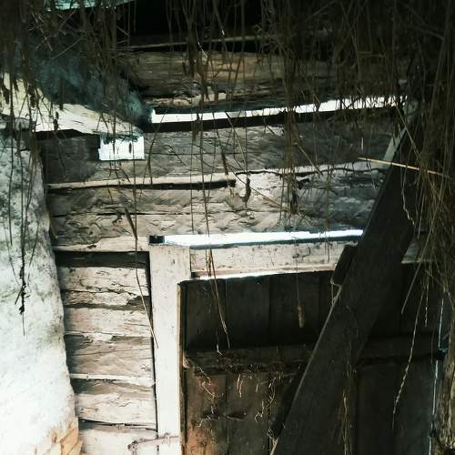 Photo #7026246