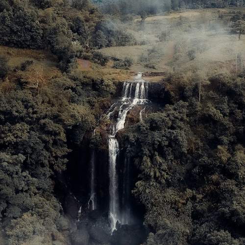 Photo #7026401
