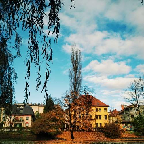 The Falling Leaves