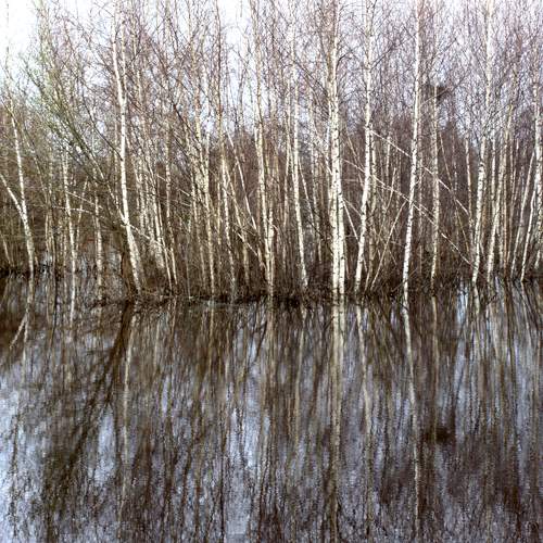 Photo #7026872